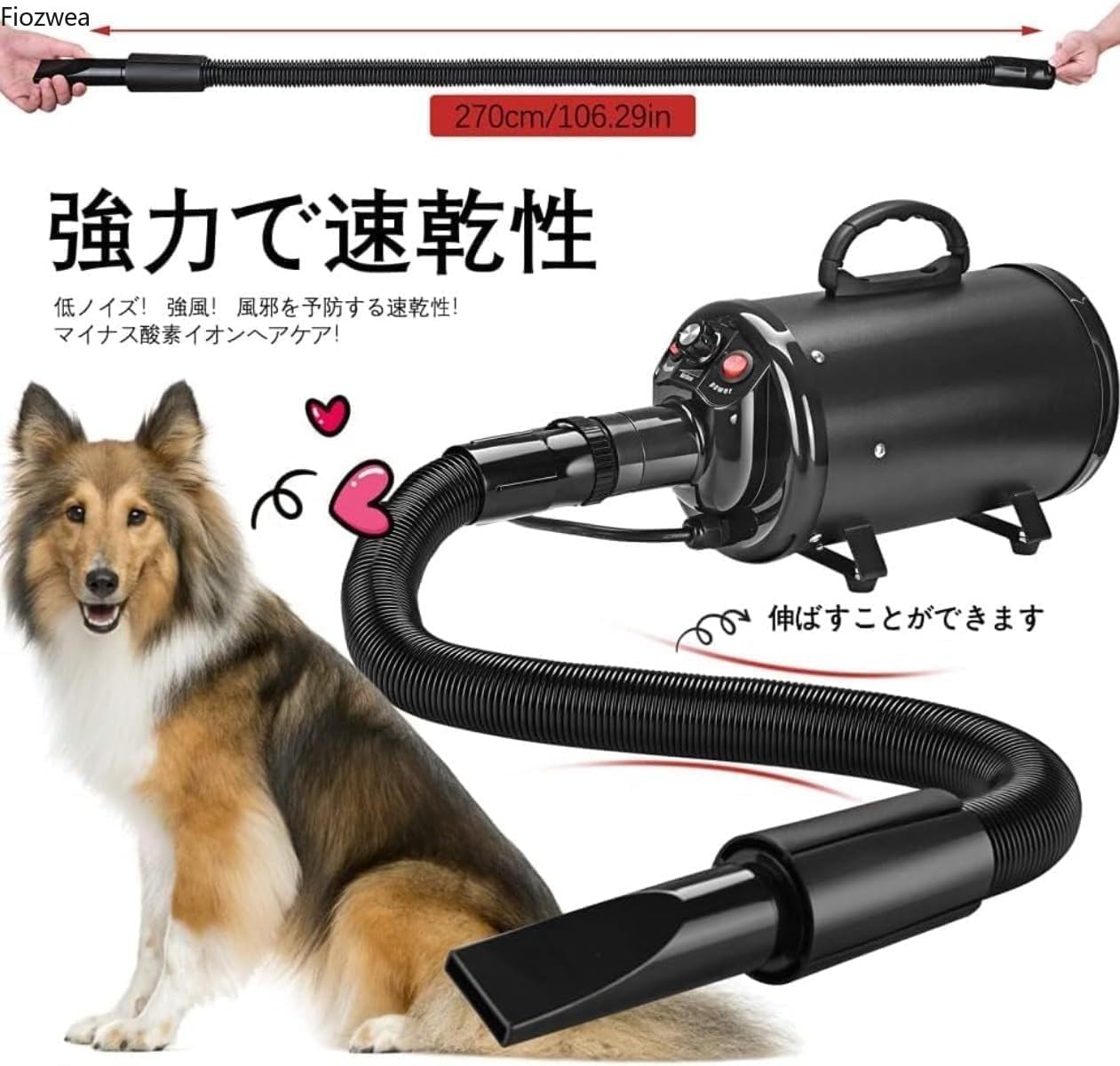 カール・Th・ドライヤー コレクション クリティカル・エディション